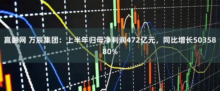 赢翻网 万辰集团：上半年归母净利润472亿元，同比增长5035880%