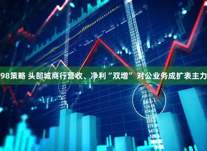 98策略 头部城商行营收、净利“双增” 对公业务成扩表主力